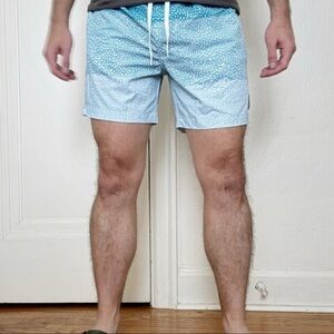 Chubbies Men’s 5.5” Swim Trunks The Whale Sharks Size Medium NWOT